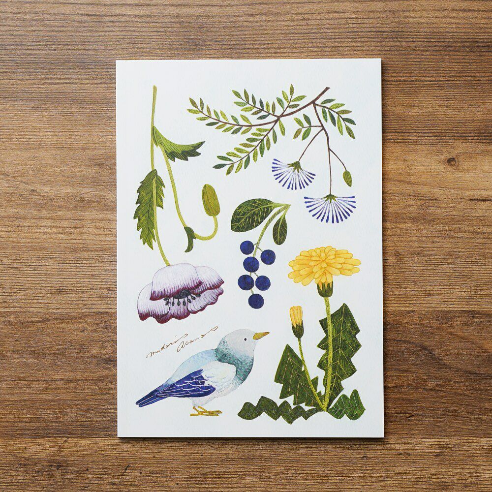 000000019358-01-s.jpg?t=