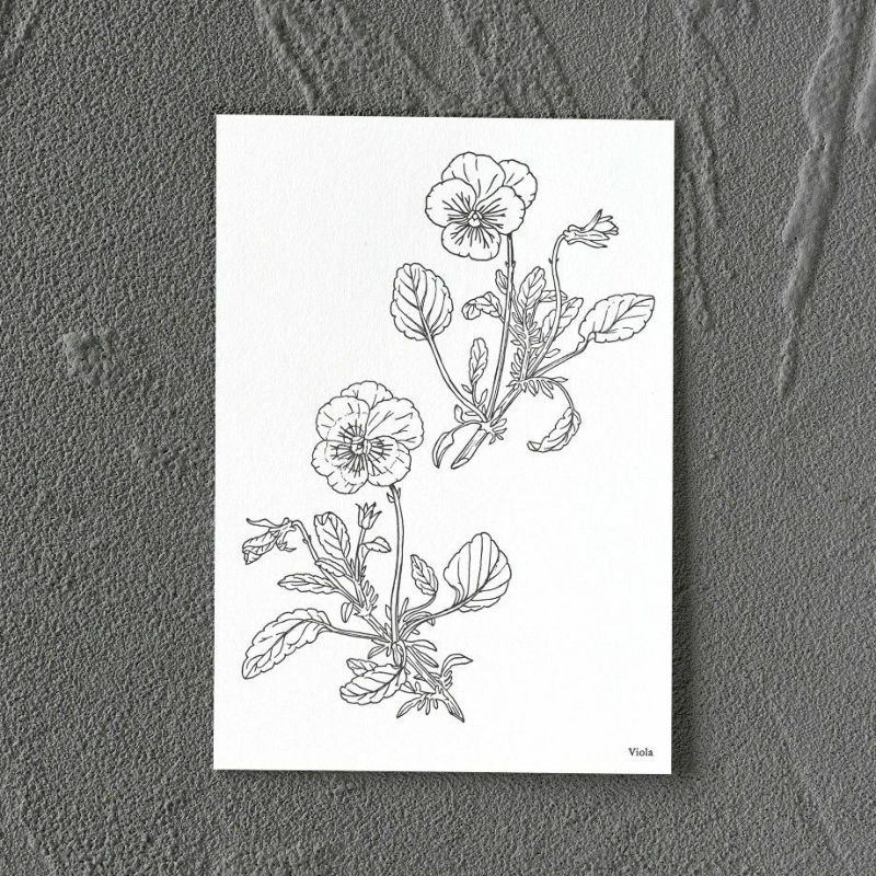 手紙社｜芝田美智子・活版ポストカード「Tulipa」 | 月刊手紙舎