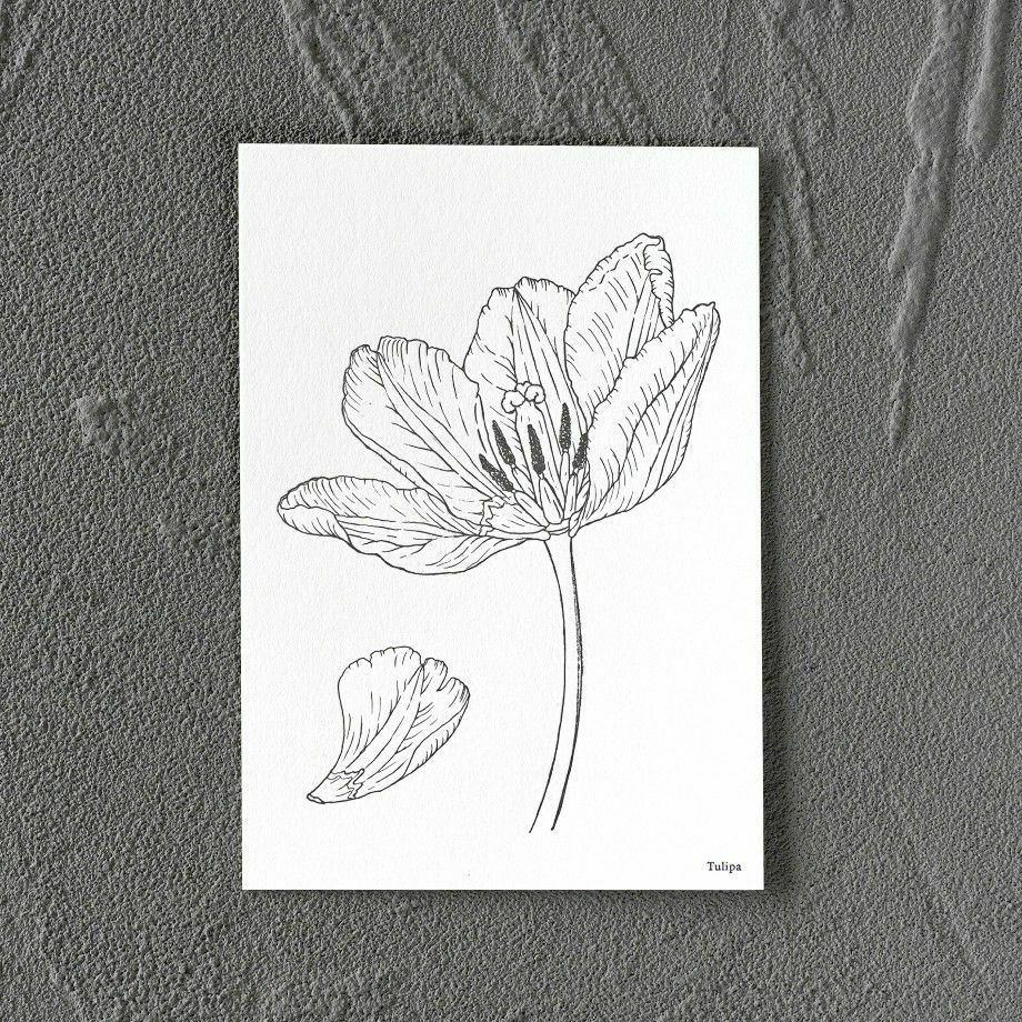 000000019510-01-xl.jpg?t=