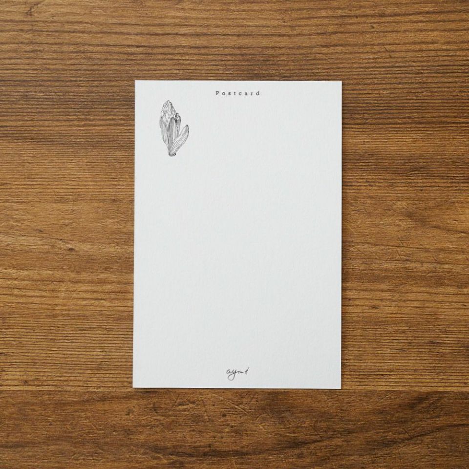 いのうえ彩　eawse 缶　新品未使用　クリーム カード いのうえ彩 eawse 缶 新品未使用 クリーム カード