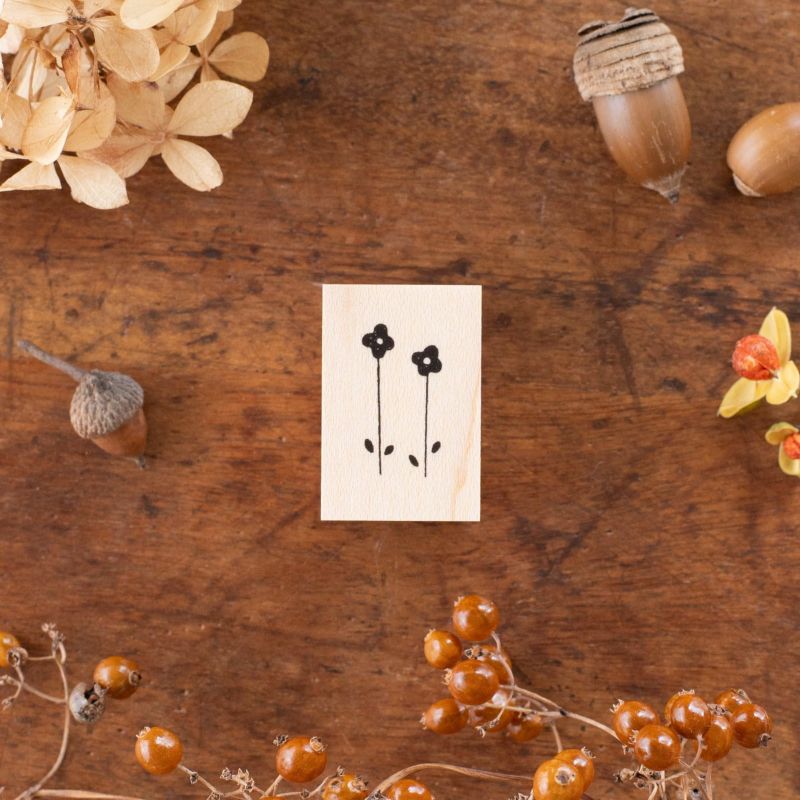 noncohanco | 月刊手紙舎