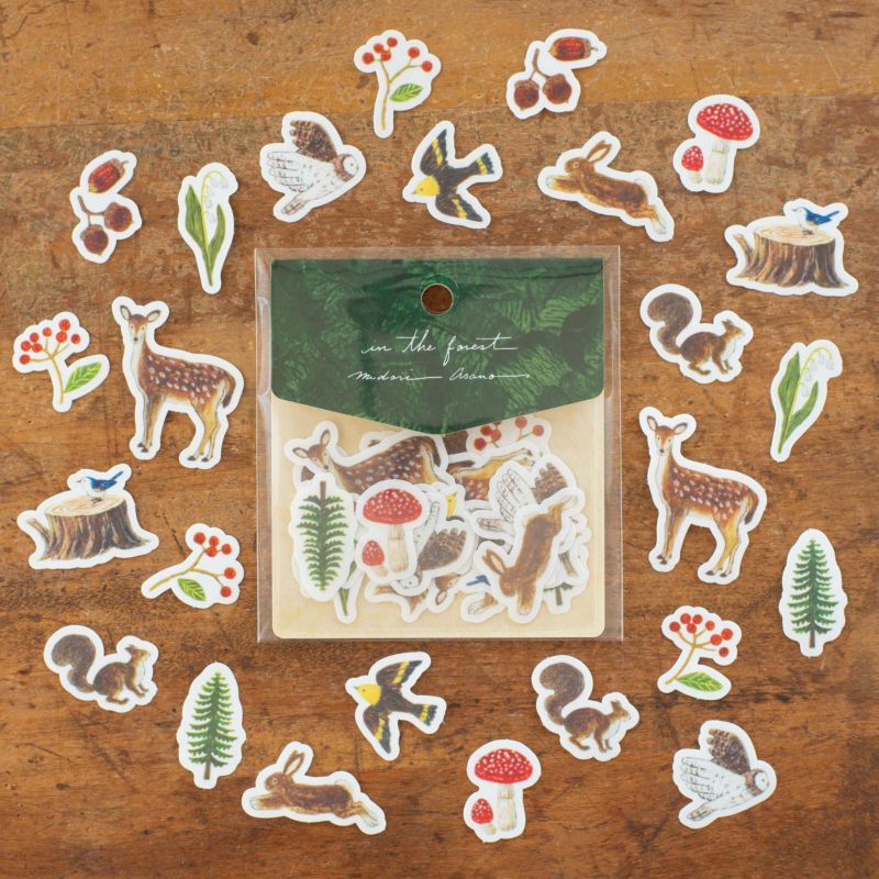 浅野みどり | 月刊手紙舎