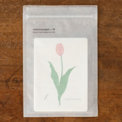 ATELIER. encle d'encle｜ボタニカルペーパー「チューリップ」 | 月刊