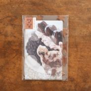 手紙社｜oyaMADE・m6リフィルメモ「OYATSU」 | 月刊手紙舎