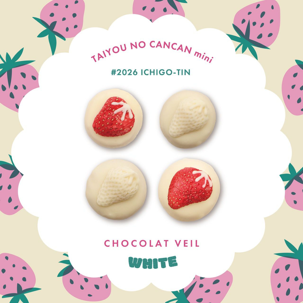 太陽ノ塔洋菓子店｜タイヨウノカンカンmini いちご缶~ショコラヴェール