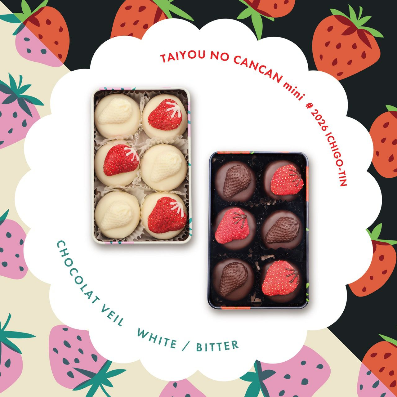 太陽ノ塔洋菓子店｜タイヨウノカンカンmini いちご缶~ショコラヴェール